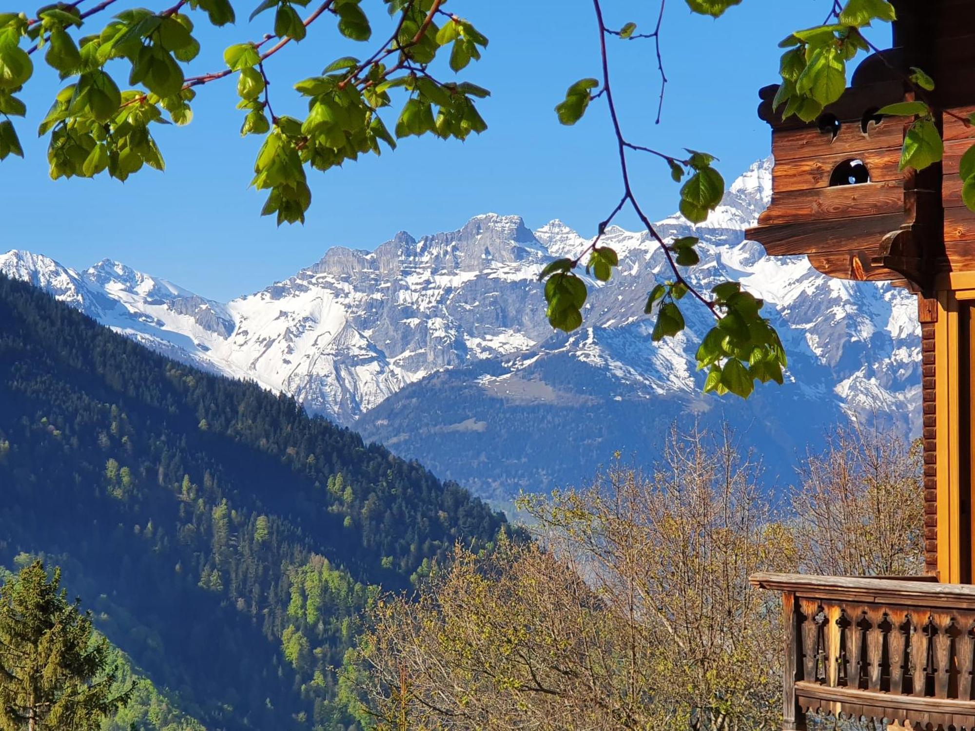 Magnifique Chalet Valerie 5 Chambres A Coucher & Vue Unique Gryon Eksteriør bilde